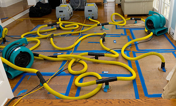 Professional Sewage Cleanup technician working in Osgood, IN